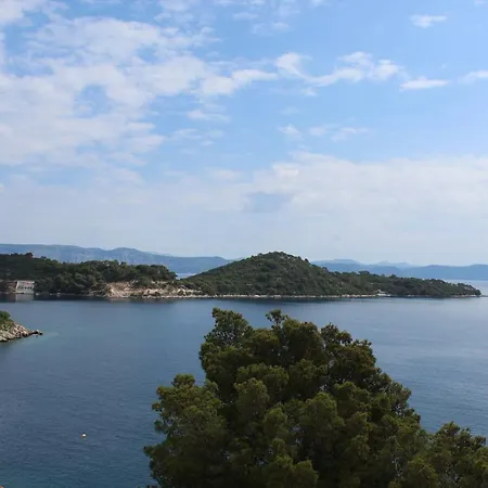 Marija Mljet 4 Apartment Sobra
