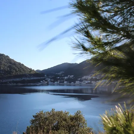 Apartment Marija Mljet 4 *