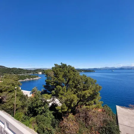 Apartment Marija Mljet 4